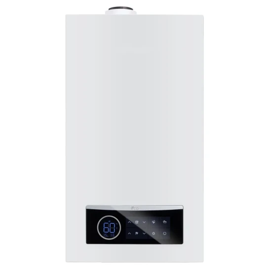 SHOP AKD::Котел газовий RENS RCB-025 25 кВт двоконтурний конденсаційний з димоходом