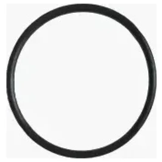 SHOP AKD::Ущільнювальне кільце AQUASTRONG 102*5.4