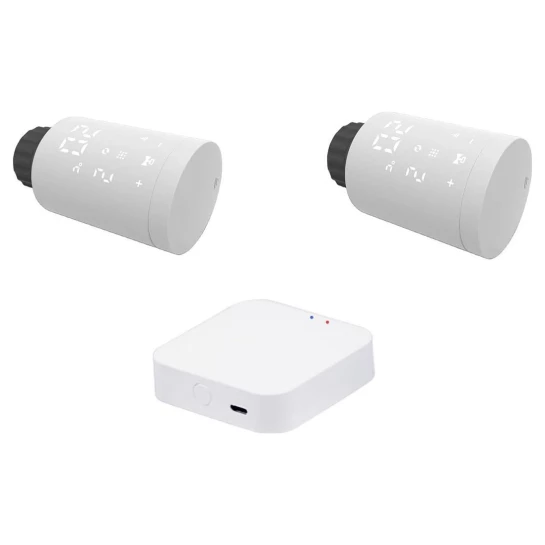 SHOP AKD::КомплектTervix Proline EVA2 (2 шт)+контролер ZigBee Gateway